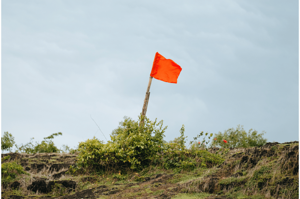 orange flag sticked in the ground