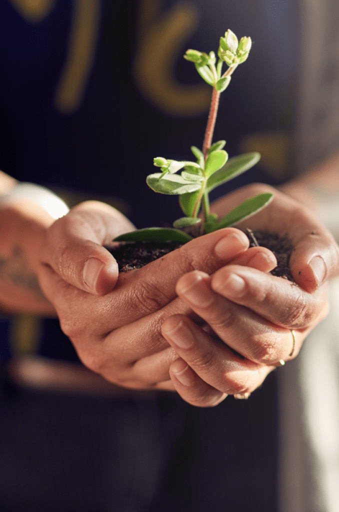 woman holding plant in her hands