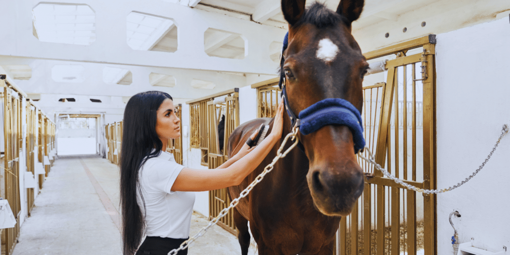 Equine horse therapy session for mental health and trauma healing in Denver