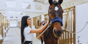 Equine horse therapy session for mental health and trauma healing in Denver