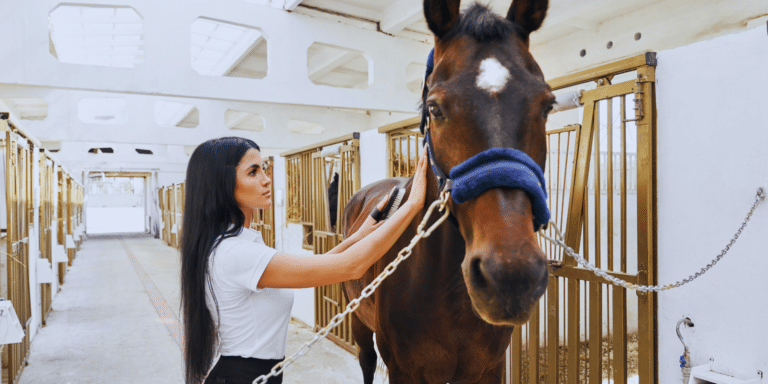 Equine horse therapy session for mental health and trauma healing in Denver